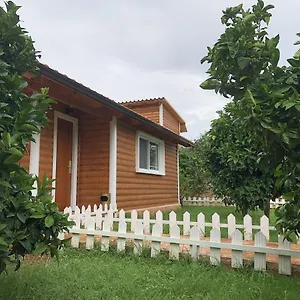  Сasa de vacaciones The Mussel House